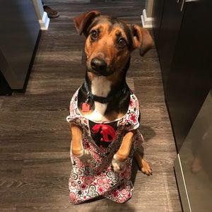 Meet your Posher, Reem